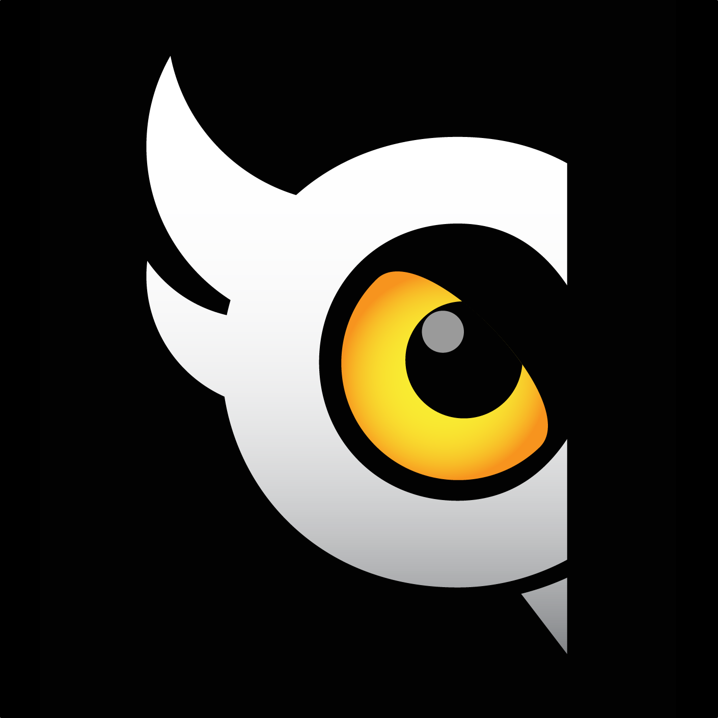 Cloudowl Inc. Icon
